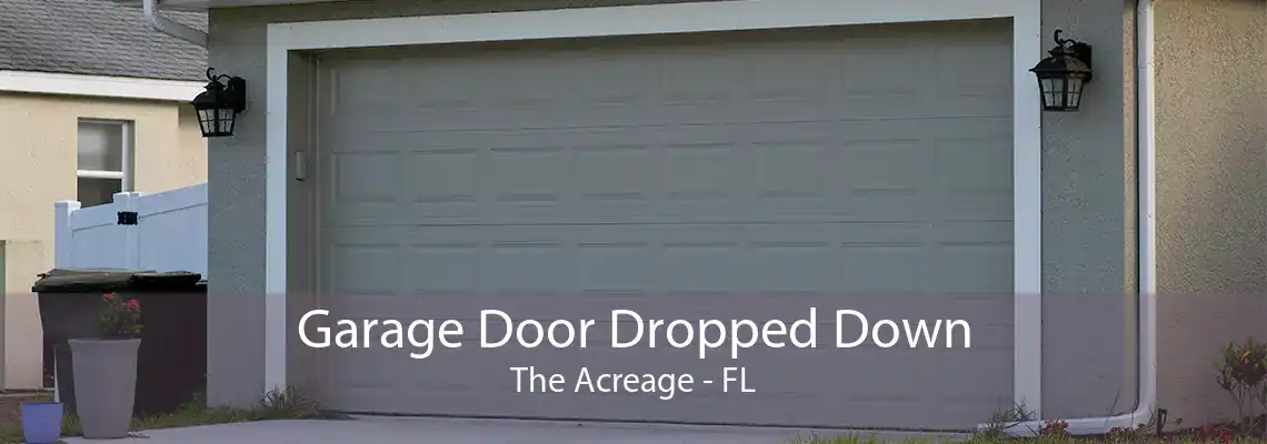 Garage Door Dropped Down The Acreage - FL