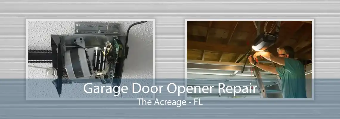 Garage Door Opener Repair The Acreage - FL