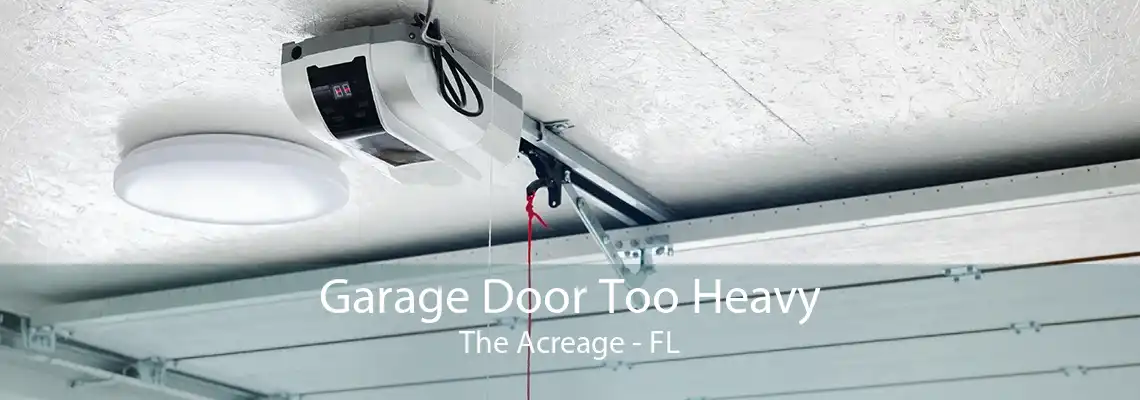 Garage Door Too Heavy The Acreage - FL